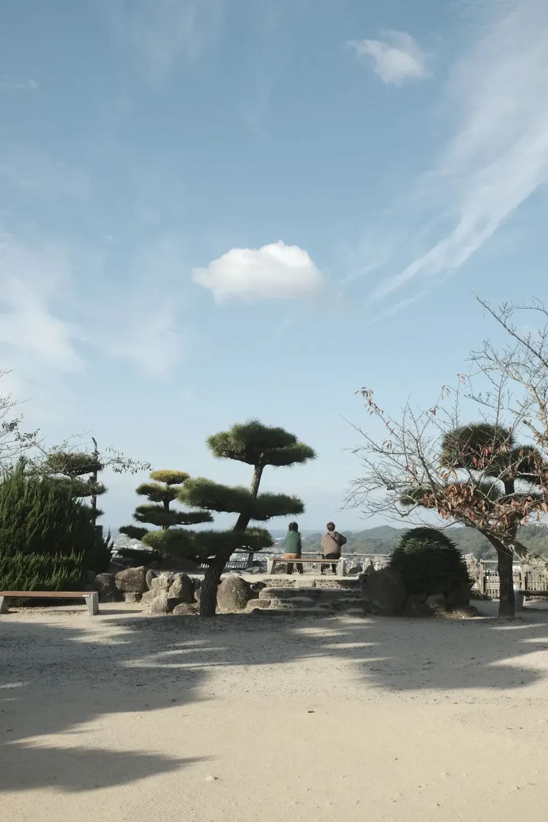 盆栽教室・ワークショップ